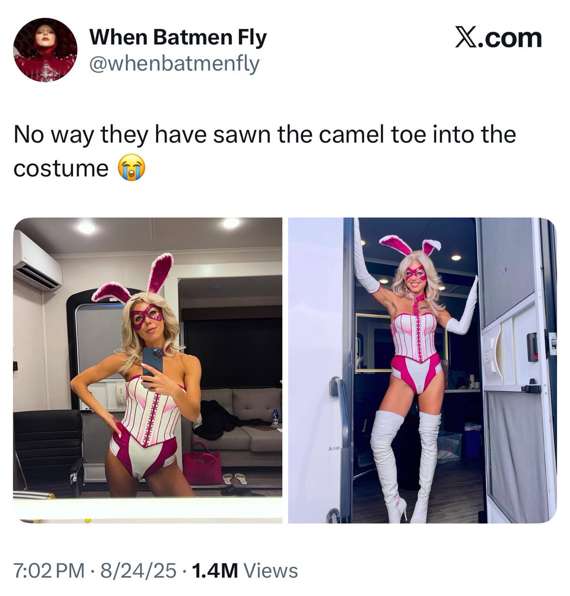 GunntArchive's tweet image. Mfs spent 12 years calling the Snyderverse Edgy &amp;amp; Dark but are praising manual suit camel toes, gay orgies and every project being hard rated R