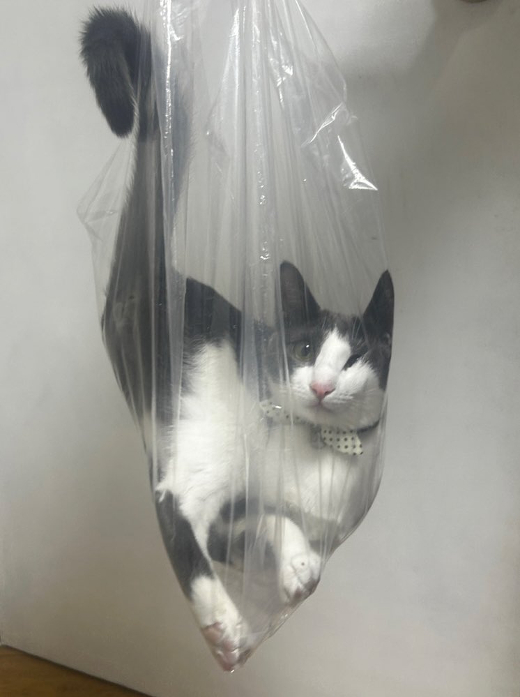 해로💭 (@haeroblue) on Twitter photo 