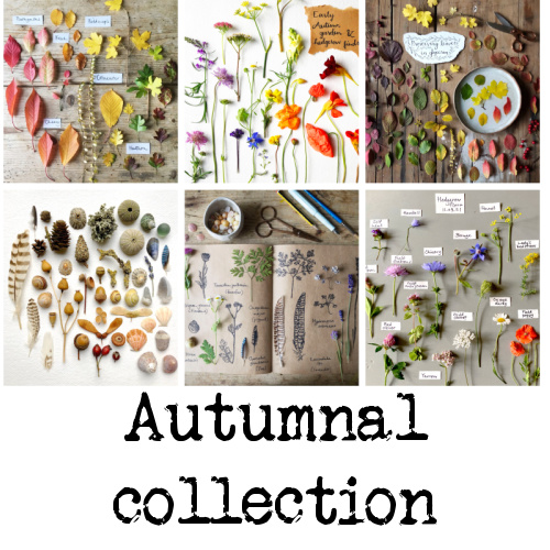 silverpebble's tweet image. If any of my photos have ever relaxed your brain on here &amp;amp; you'd like to support me I now have 5 different collections of my greetings cards for you to choose from &amp;amp; a discount if you buy 2 sets of cards. 
I create my photos using recent neuroscientific research-they move your…