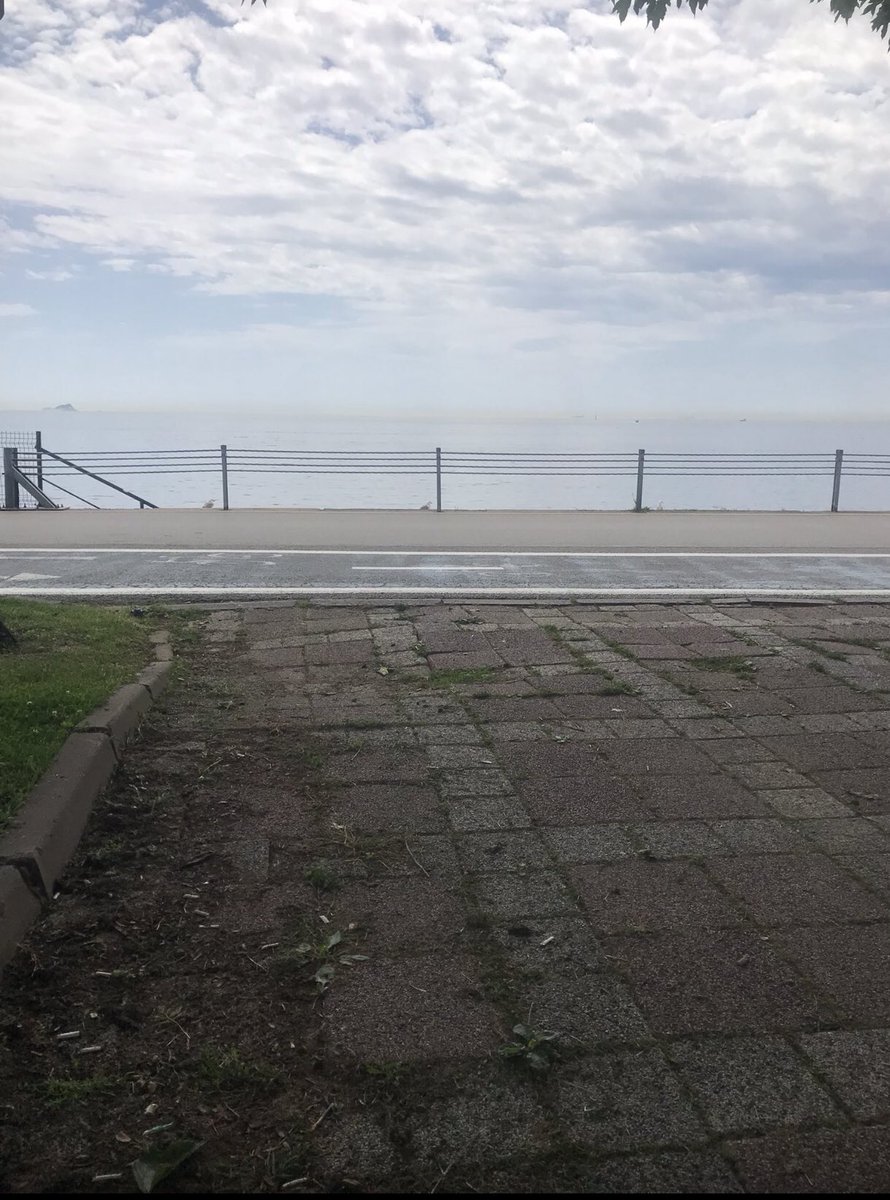 İstanbul cadde bostan varmı ful aktifim