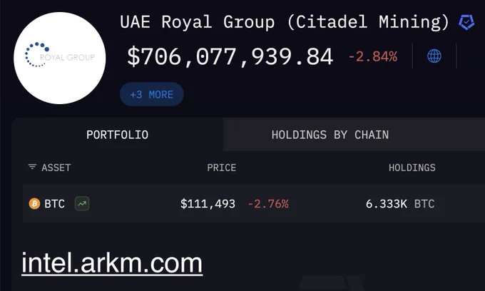 🟠BTC-ARCHIVE: Gli Emirati Arabi Uniti detengono 700 milioni di dollari in Bitcoin tramite Citadel e il Royal Group