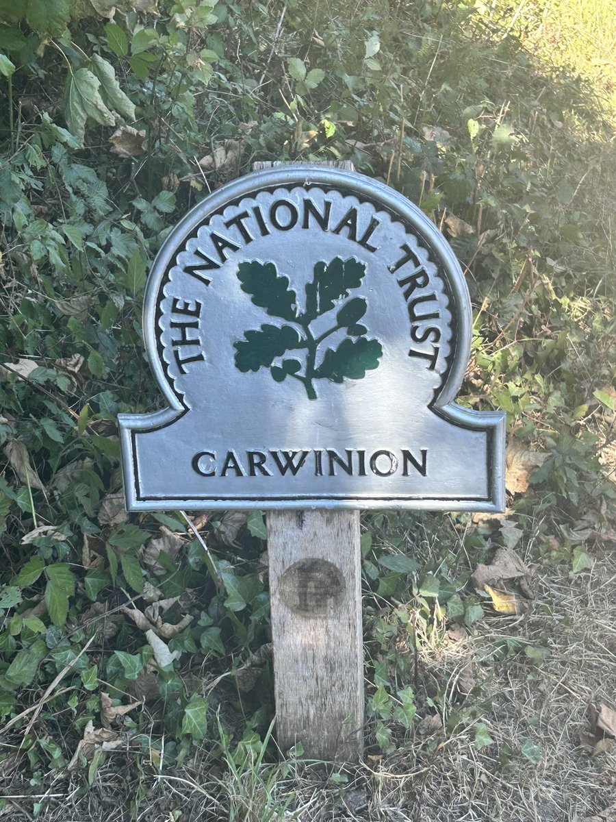 Walk through Carwinion Woods, Mawnan Smith