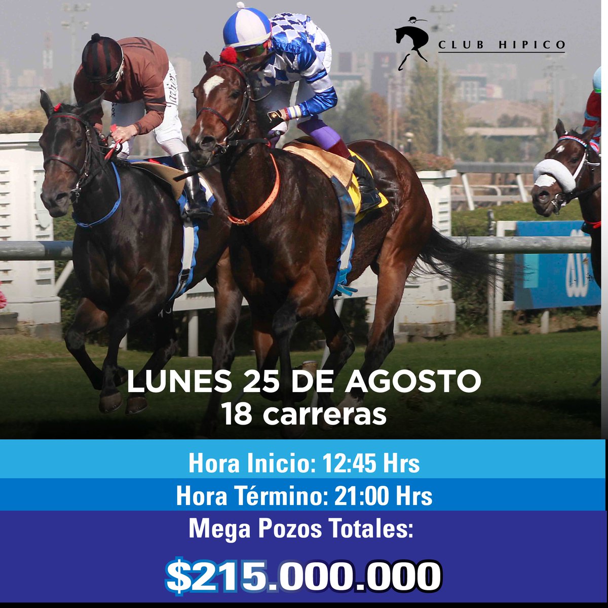 🏇🏻😃 ¡LUNES MILLONARIO EN EL CLUB HIPICO!

Desde las 12:45 horas viviremos una nueva reunión en nuestro recinto. Tendremos un enorme pozo para abrir la jornada: $20 millones en la primera Mega Superfecta.