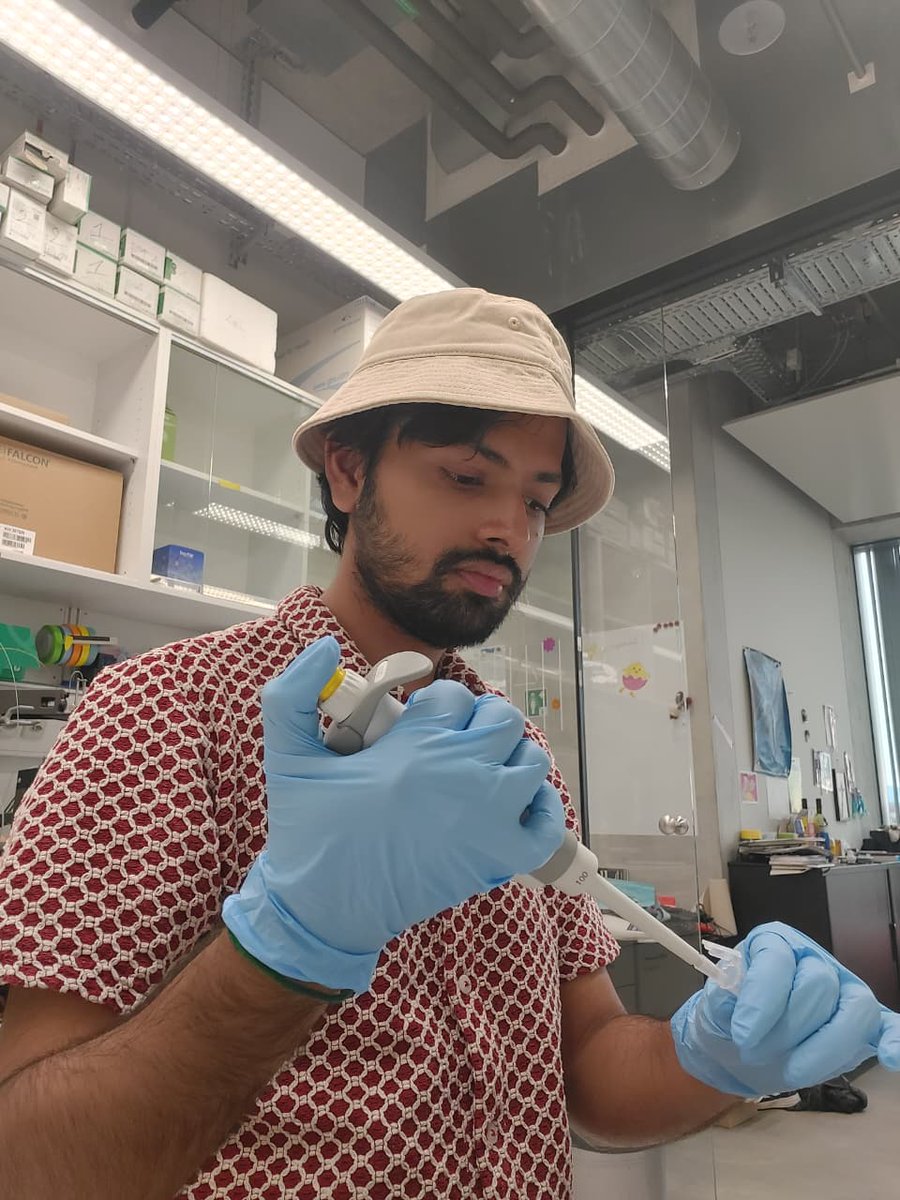 Shreyan11_11's tweet image. Big magnets, failed experiments, amazing science &amp;amp; even swimming in the Rhine 🌊🧪 — this summer I joined Sebastian @HillerLab  lab at the @biozentrum   University of Basel, to study the functional cycle of the Hsp70 #chaperone #protein. #ScienceTwitter #NMR