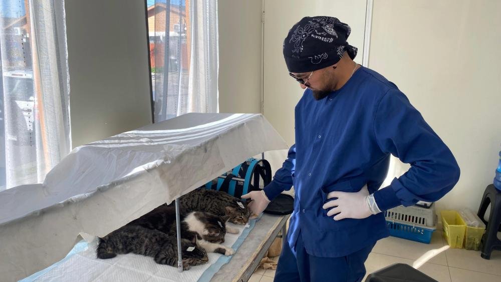 MUNICIPALIDAD DE SAN FERNANDO FINALIZA PROCESO DE CASI MIL ESTERILIZACIONES: Durante la primera quincena de agosto, la Unidad de Tenencia Responsable de la Municipalidad de… dlvr.it/TMgt9S #MunicipalidadSanFernando #Esterilizaciones #Perros #Gatos #TenenciaResponsable