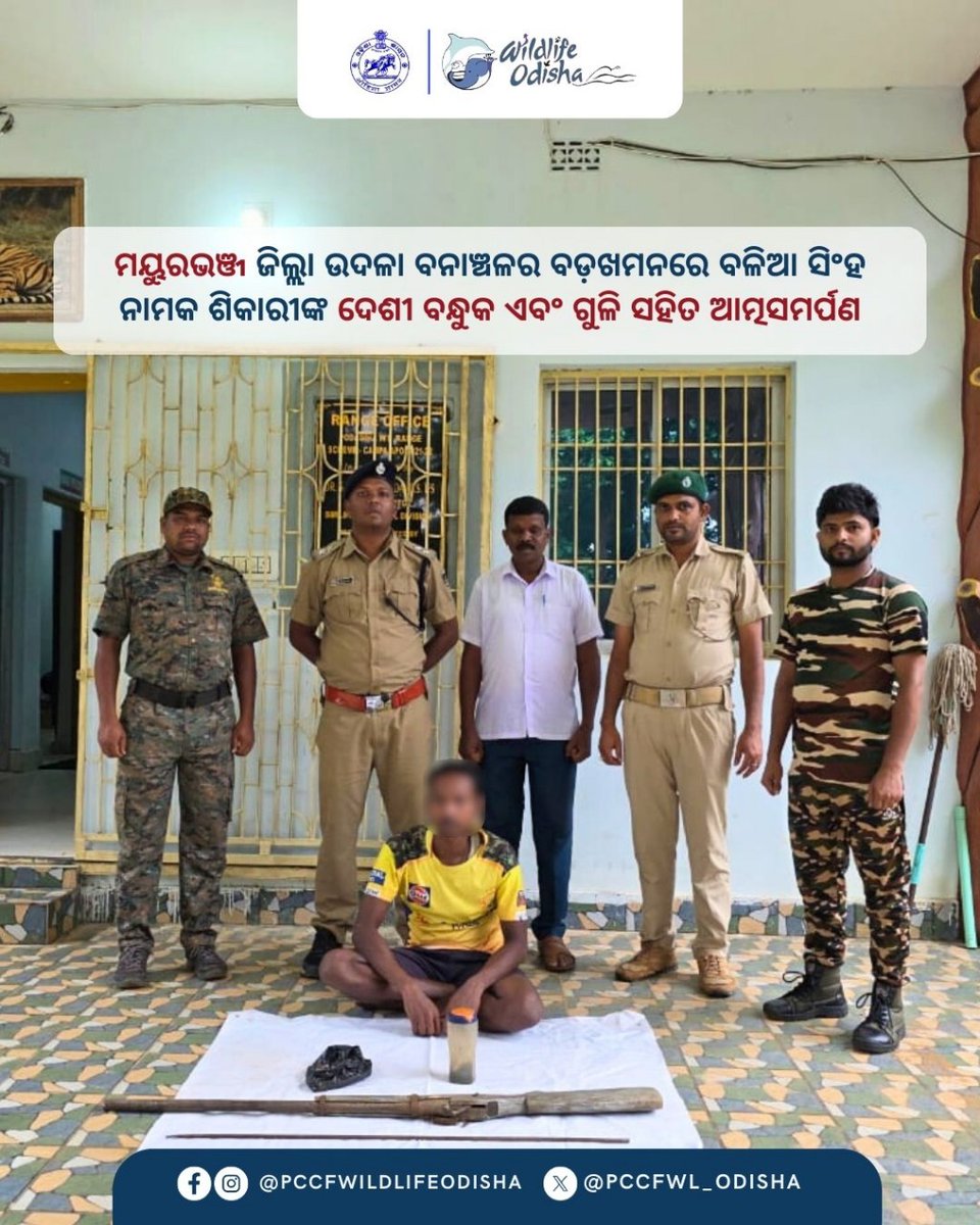 ଶିମିଳିପାଳ ୱାଇଲ୍ଡଲାଇଫ୍ ଇଣ୍ଟେଲିଜେନ୍ସ ନେଟୱାର୍କ (SWIN)ର ଗୁପ୍ତ ସୂଚନା ଦ୍ୱାରା AI କ୍ୟାମେରାରେ କଏଦ ହୋଇଥିବା ଜଣେ ଶିକାରୀଙ୍କୁ ଚିହ୍ନଟ କରାଯାଇଥିଲା । ପରେ ମୟୁରଭଞ୍ଜ ଜିଲ୍ଲା ଉଦଳା ବନାଞ୍ଚଳର ବଡ଼ଖମନରେ ଉକ୍ତ ଶିକାରୀ ଜଣକ ଦେଶୀ ବନ୍ଧୁକ ଏବଂ ଗୁଳି ସହିତ ଆତ୍ମସମର୍ପଣ କରିଛନ୍ତି । 
#SimilipalTigerReserve #Wildlifeodisha