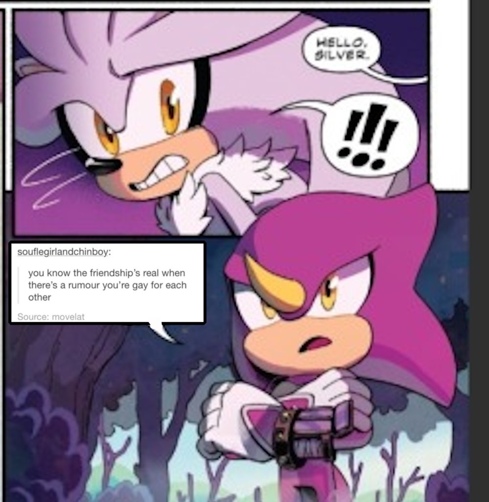 kitsuneheart's tweet photo. #sonictextposts #silverthehedgehog #espiothechameleon #Espio #espilver #sonic https://t.co/X1LeQmqJXo