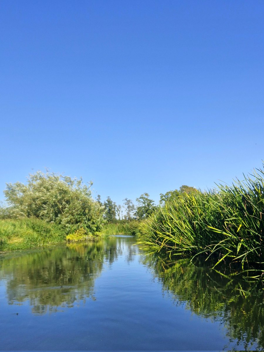 Blue sky, Norfolk <a href="/metoffice/">Met Office</a> #loveukweather