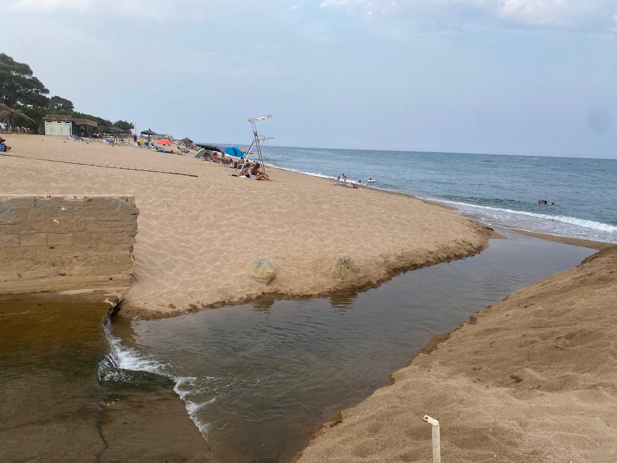 Dani Cornellà #Independència #EcoSocialisme (@danicornella) on Twitter photo 🗣 Avui hem presentat, a Fiscalia Medi Ambient, una denúncia contra l'alcalde, l'ajuntament de Santa Susanna i l'ACA per presumpte delicte ambiental i prevaricació per omissió!
<a href="/PladeBalasc/">Salvem el Pla de Balasc</a> al costat de la pagesia i de les persones afectades per unes obres sense tots els 🗣 Avui hem presentat, a Fiscalia Medi Ambient, una denúncia contra l'alcalde, l'ajuntament de Santa Susanna i l'ACA per presumpte delicte ambiental i prevaricació per omissió!
<a href="/PladeBalasc/">Salvem el Pla de Balasc</a> al costat de la pagesia i de les persones afectades per unes obres sense tots els