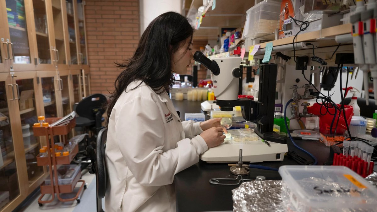 Quantum leaps. Cancer cures. Smarter MRIs. Aging breakthroughs. Trojan undergrads spent their summer shaping discoveries that change lives.

🔗 uscne.ws/undergrads