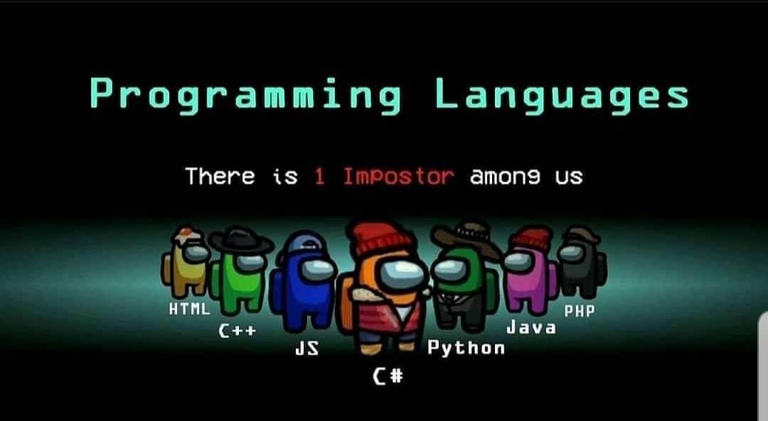 Programmer Humor tweet media