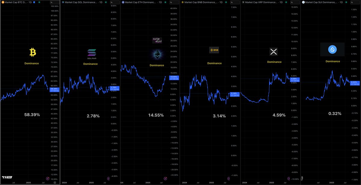 BTC、SOL、ETH、BNB、XRP、SUI のチャートを示す仮想通貨ドミナンスダッシュボード