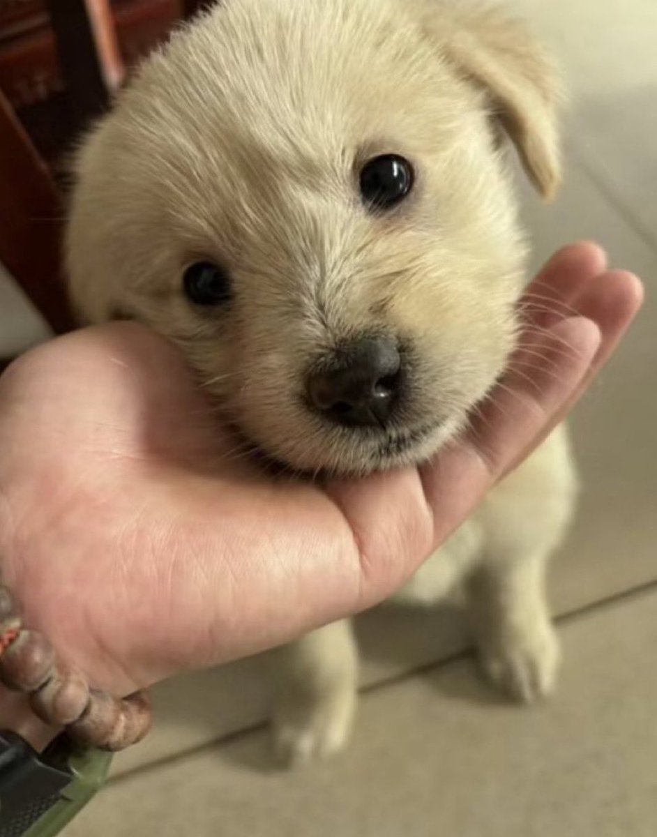 이제는 웃는 거야 Smile again!
행복한 순간이야 Happy days!