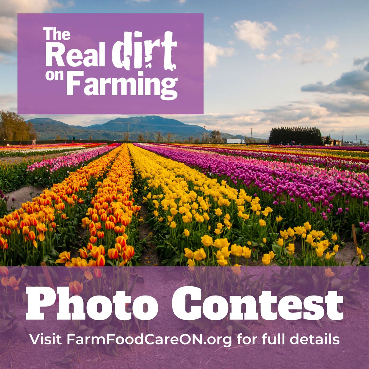 Enter the Farm &amp; Food Care Photo Contest for a shot at $4,000+ in cash prizes!
Show off Canadian farms, food &amp; the people behind it.
Winners have a chance to be featured in The Real Dirt on Farming magazine, seen across Canada!
🗓️ Deadline: Nov 30, 2025
👉 farmfoodcareon.org