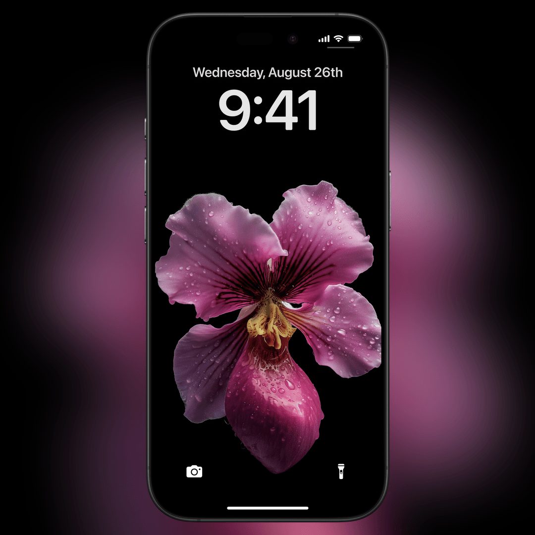on_lockscreen's tweet photo. Stunning Orchid Beauty 🌸✨ https://t.co/5hkqLR0ujz