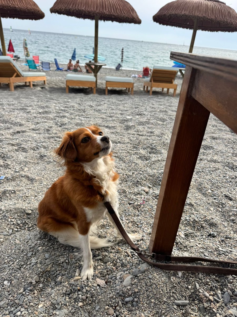 Toet82's tweet image. Eindelijk weer hier!!! 🙏🏻