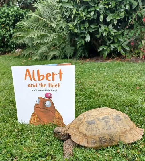 Precious things go missing in the #garden. Albert and his pals turn #detectives. See more in #ALBERTthetortoise #picturebook ALBERT AND THE THIEF. #AvailableNow 9 #ALBERT picturebooks, 3 #BoardBooks &amp; #ActivityBook Alberttortoise.com
#tortoise #thief #cosycrime #bookseries