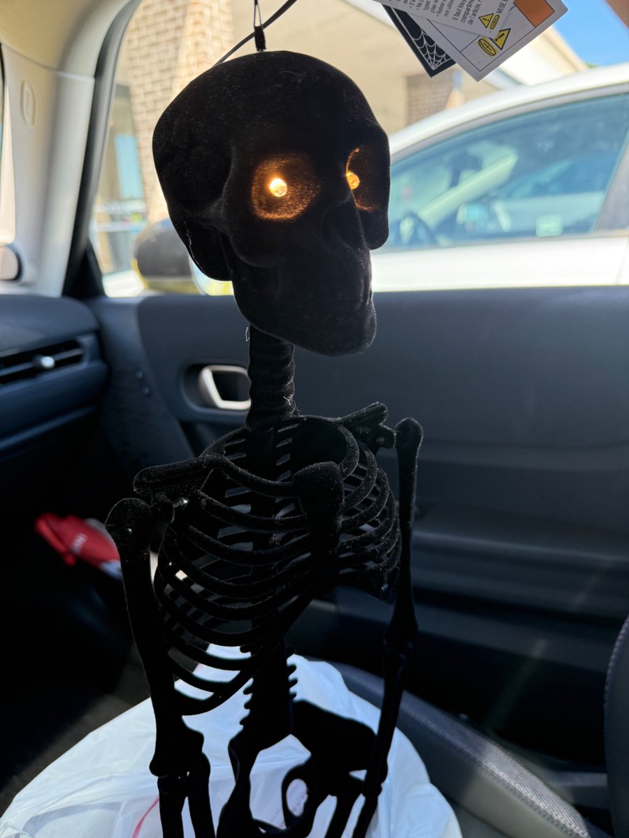 Home Goods, where you come for an outside table and leave with a velvet skeleton. Also the young man checking me out: “I just realized Home Goods is not somewhere i’d ever buy something from. My mom would. But i’d just go next door to tj maxx, you know?” (I clearly do not know)