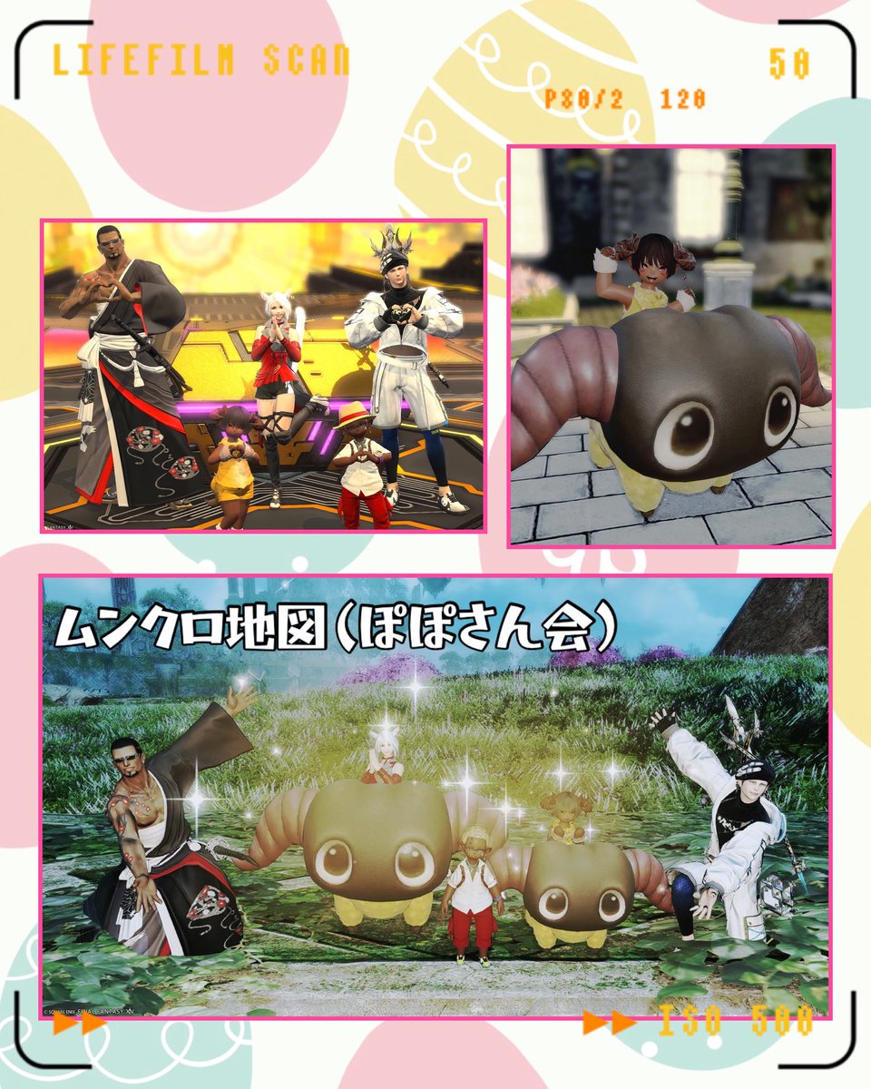 お久しぶりのぽぽさん会（地図）
ヤーンの収獲に成功しました🐏🐏
ロット負けたけどロット勝ちして
一匹いただきました😹
コスプレの効果を感じてます✨
みんなもヤーンコスで参戦だ💥

#ヤーンホルン　#ぼっちヤーン