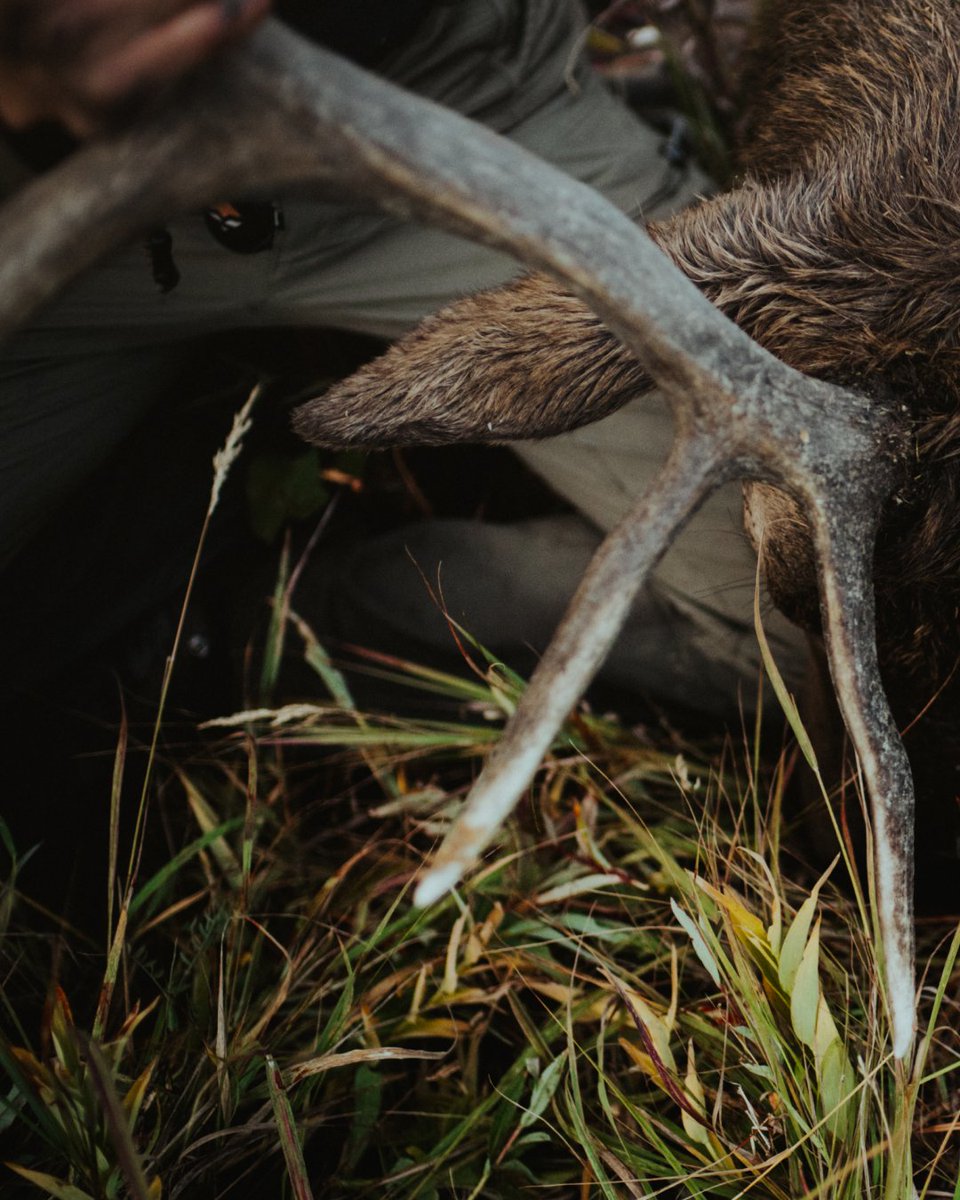 GOHUNT's tweet image. T-minus 7 days.

#gohunt