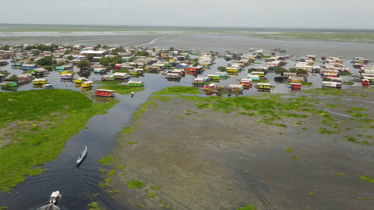 CORPAMAG hace un llamado urgente al Gobieno Nacional para enfrentar la invasiòn de la Hydrilla en la Ciènaga Grande de Santa Marta corpamag.gov.co/index.php/comp…
