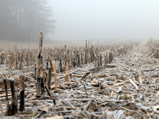 StupefyingStories tweet media