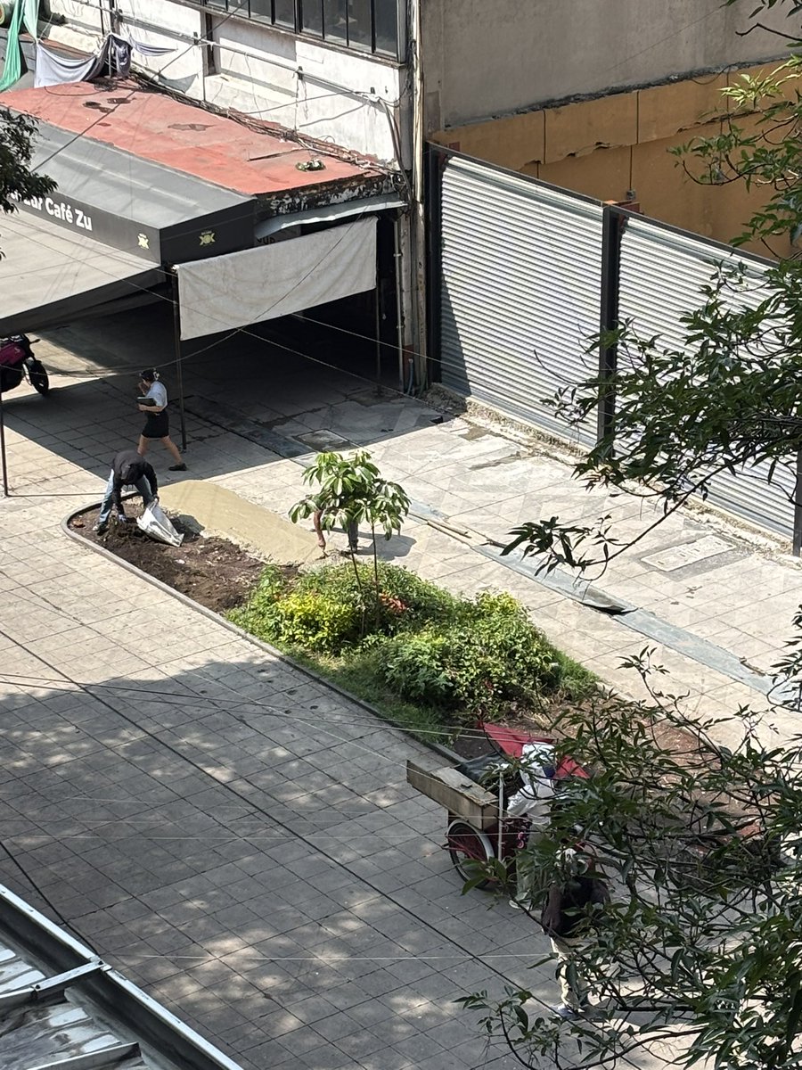 Que onda que estén tapando las jardineras con cemento y sobre una calle que está atascada de vicio. <a href="/LaColoniaJuarez/">La Colonia Juárez</a> <a href="/AlessandraRdlv/">Alessandra Rojo de la Vega</a>
