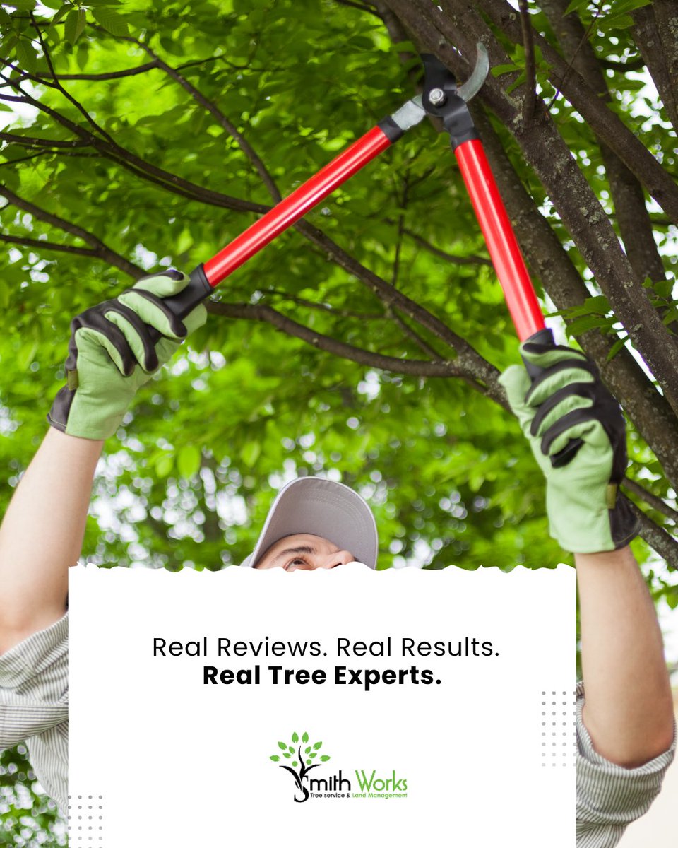 SmithWorksTree's tweet image. Not all tree care is equal. 🌳 Trust real reviews to find skilled teams, reliable service, and sustainable practices. Don’t settle—choose experts who care for your trees like their own. Visit us: smithworkstreeservicenashvilletn.com #TreeCareMatters