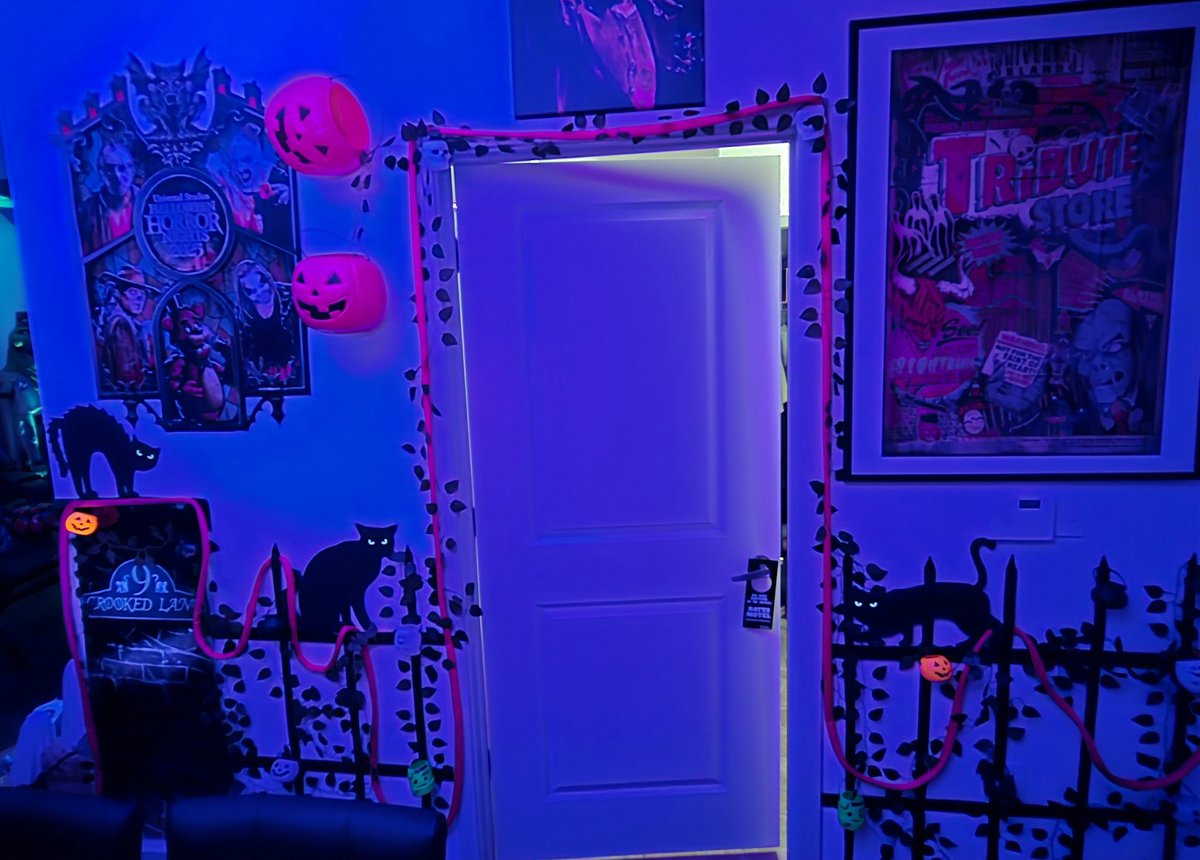 ShawnTucker623's tweet photo. It's normal to recreate @HorrorNightsORL Scarezones in your home right? Anyway, here's my version of The Cat Lady of Crooked Lane.
#HHN34 https://t.co/Vdk3uCdUfl