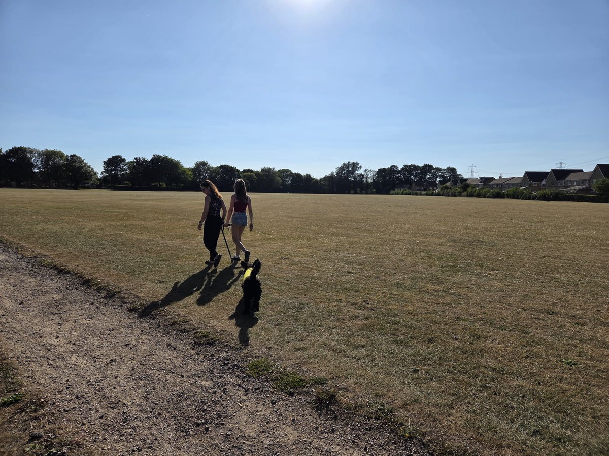 Rose's new back garden 🐶 #NewBeginnings #FreshStart