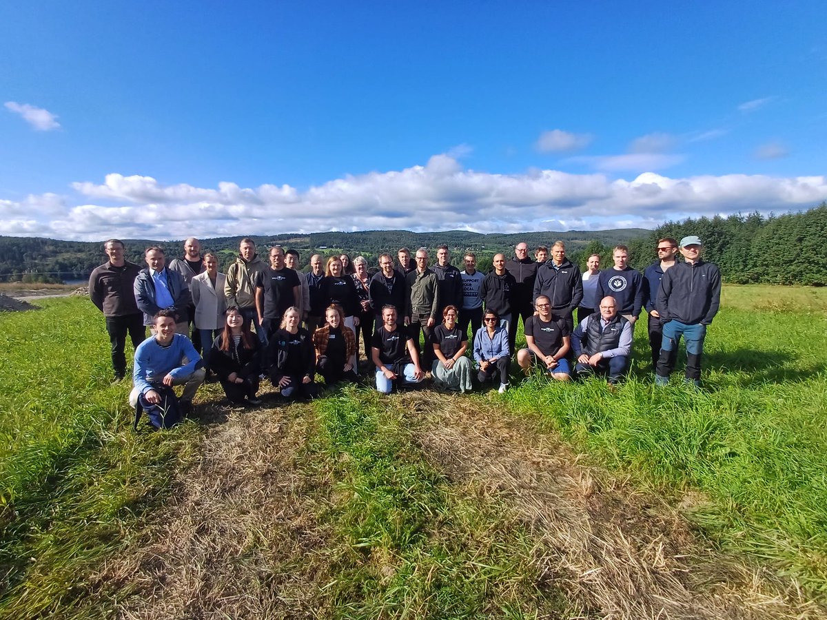 SingleTree_EU tweet media