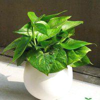 🤍🙋‍♀️Chalk drawings of sea creatures, from tiny fish to giant whales.🤛Pavement bears, the marks of countless steps.