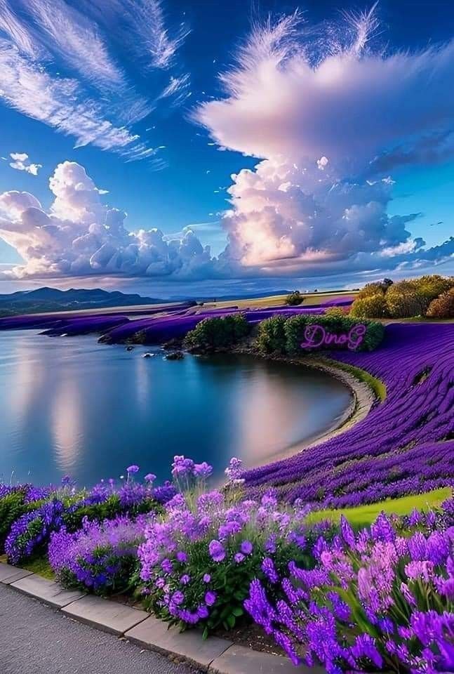 naturebeautyh's tweet image. 