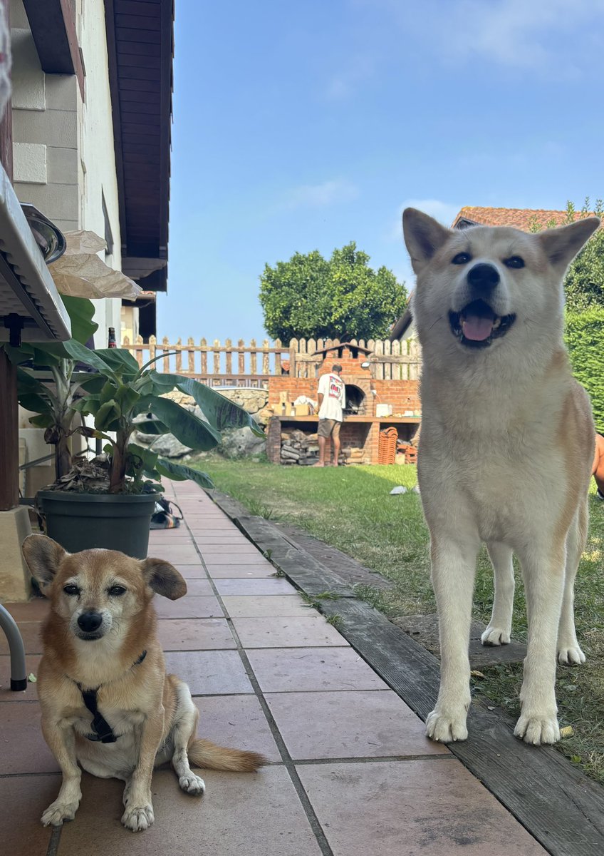 Echando la tarde literalmente en un meme. 😅