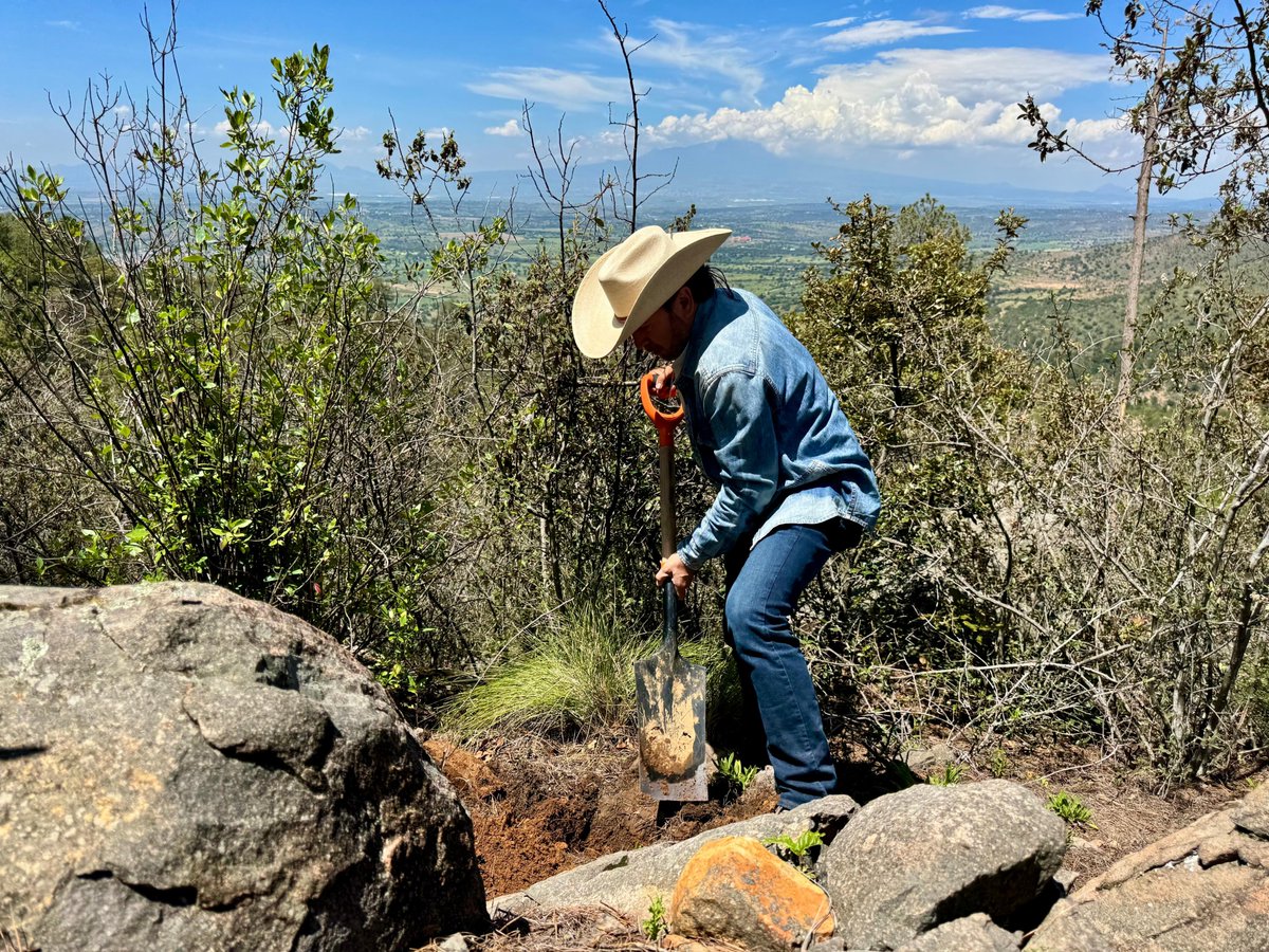 Es un tiempo hermoso porque la tierra está lista para la reforestación y para sembrar un nuevo árbol que dé vida a los bosques y cerros. 
Gracias a las organizaciones comunitarias por su invitación para sembrar arbolitos en la zona boscosa de Atltzayanca y en Tocatlán.
¡Les deseo