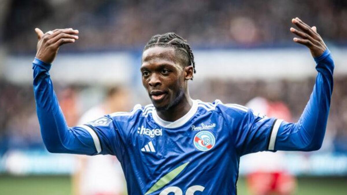 Sacha Tavolieri tweet media