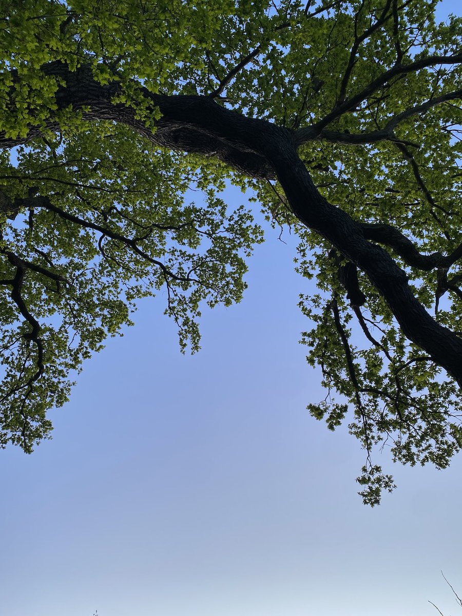 Caught by the River tweet media