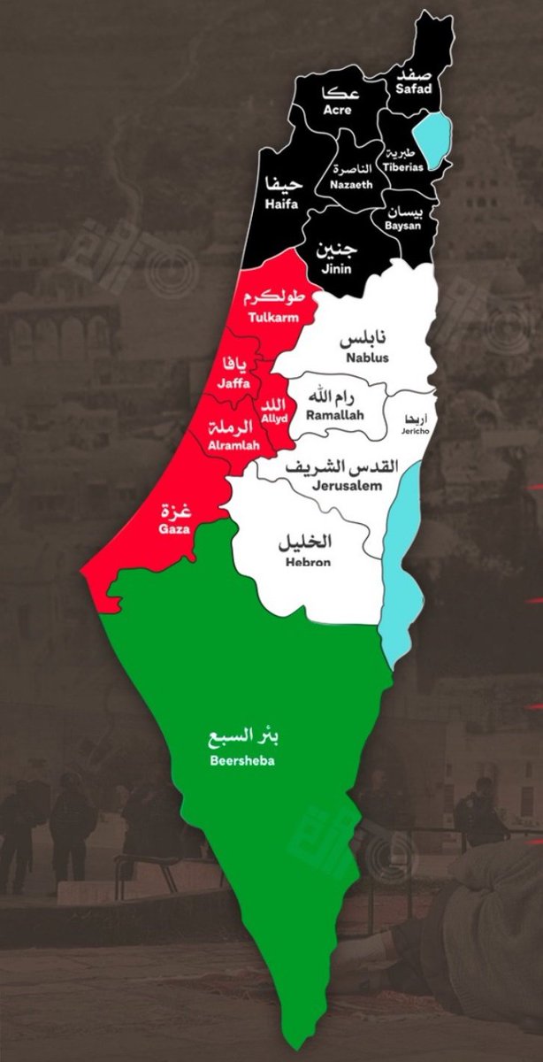abdallah4_95's tweet photo. @OrenMarmorstein @Israel No wonder, it's the capital city of the beautiful land of Palestine 🇵🇸 .. the only thing taking away from its beauty are the coIonizing parrasitic squattters currently occupying parts of it temporarily ⏱️ https://t.co/rM9Vnwmw4i