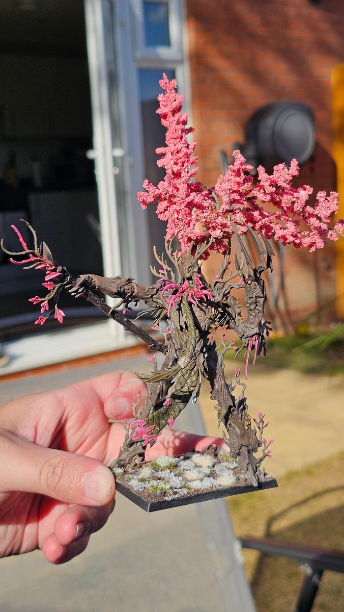 Been working on some Cherry Blossom Wood Elves in the garden today! Throughly love painting Old World stuff! #WarhammerCommunity #TheOldWorld #WoodElves #PaintingWarhammer