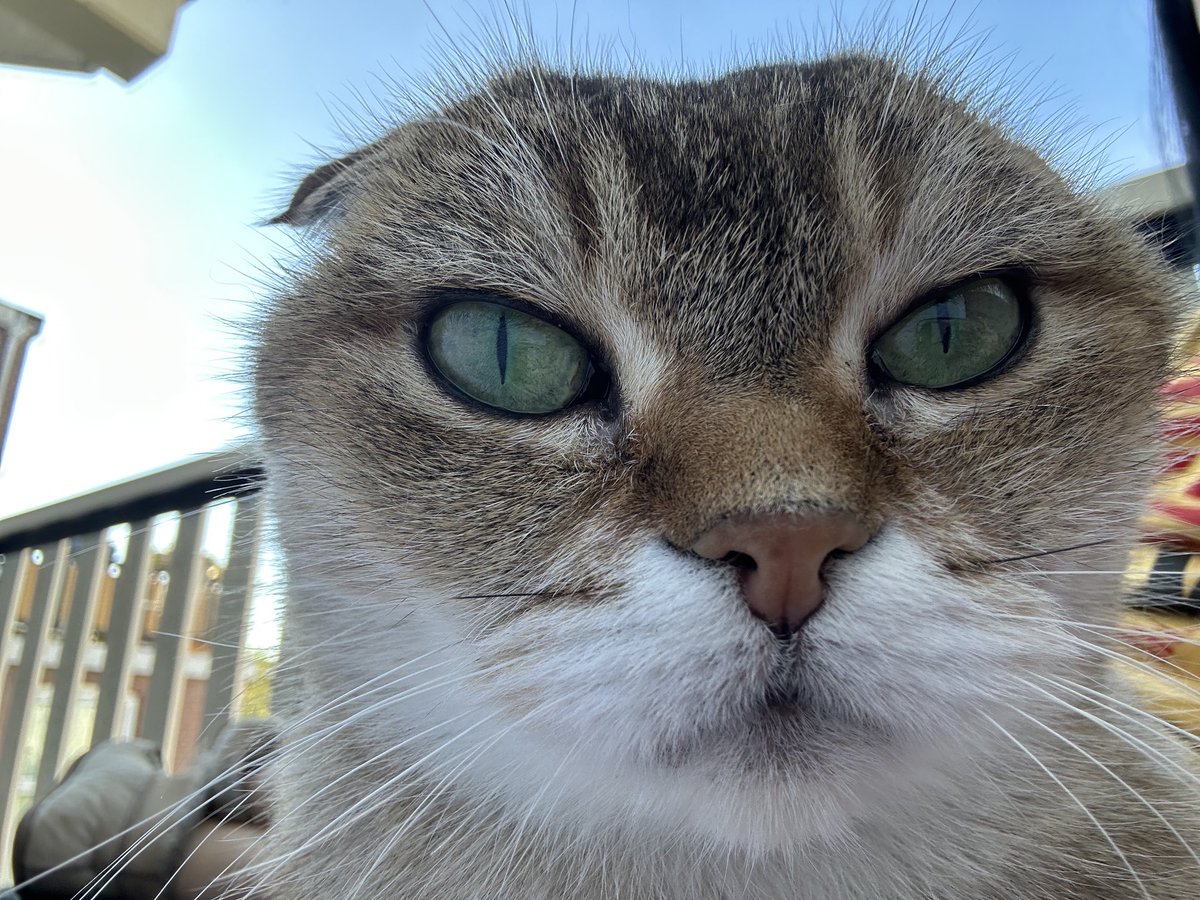 What do you think of my selfie? According to humum it’s a bit much 🤭