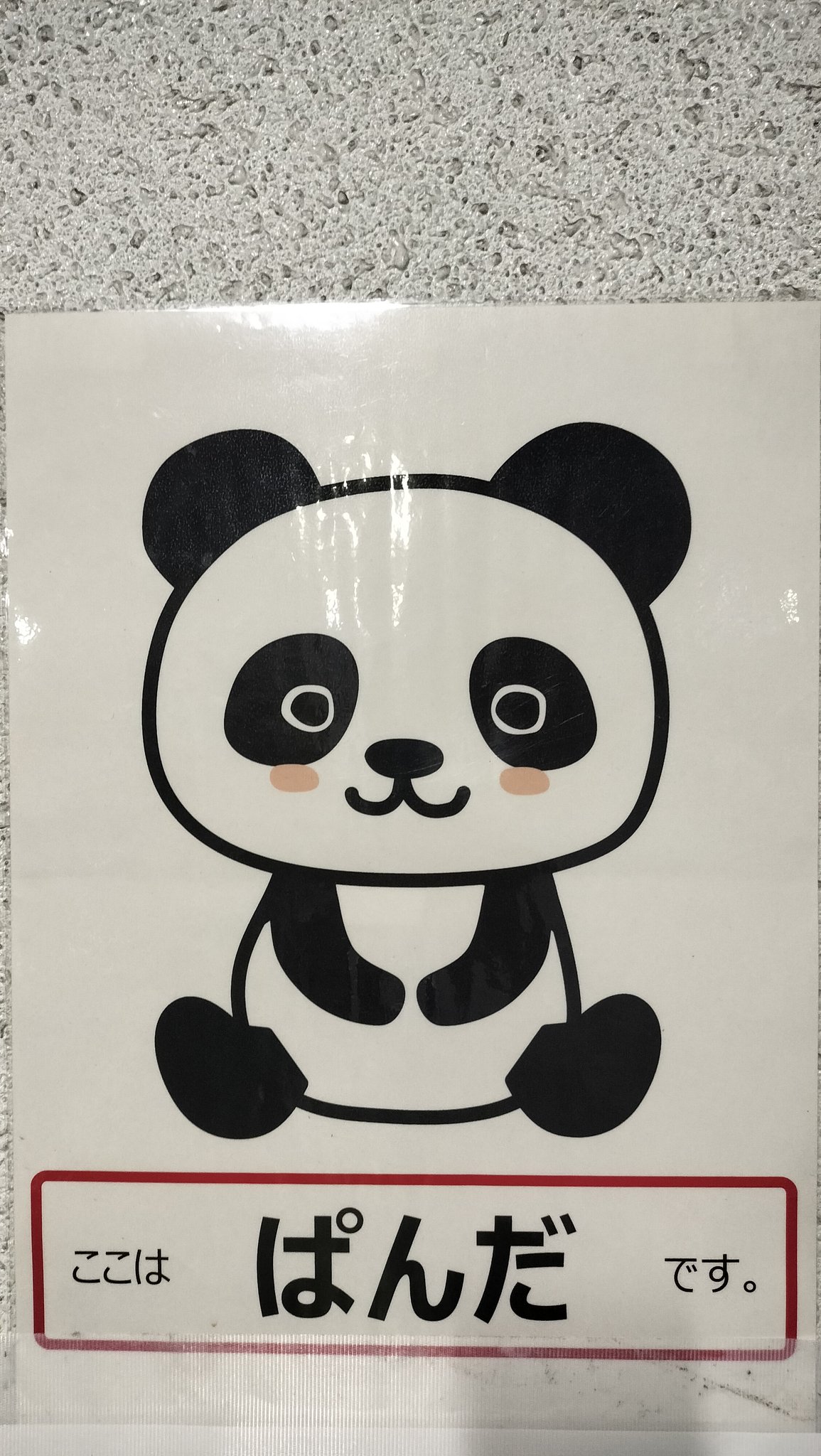 プリンちゃん（感謝） 🍮プリンちゃん📷 (@KKD_Purin_chan) / X