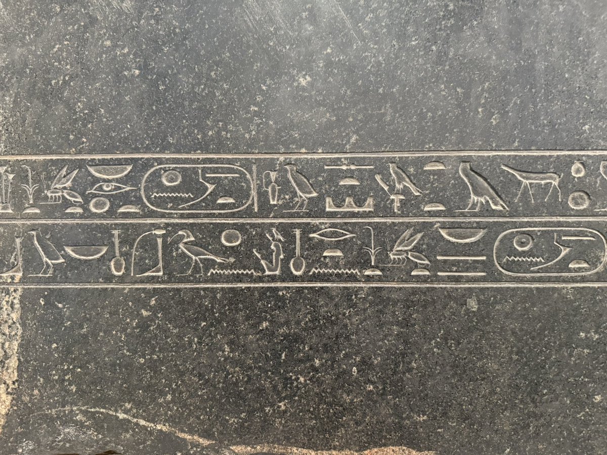 Thom Fang tweet media