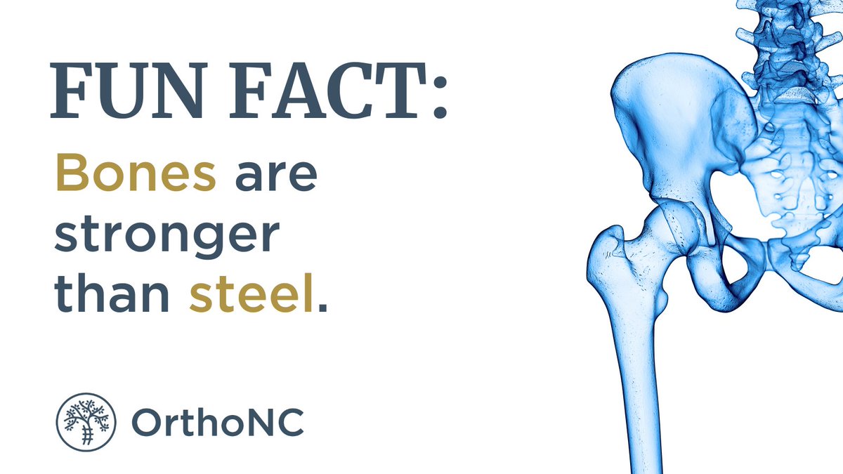 Did you know the human femur (thigh bone) is stronger than steel?

Bones can withstand about 30,000 pounds of pressure per square inch — making them one of nature’s most incredible structures.