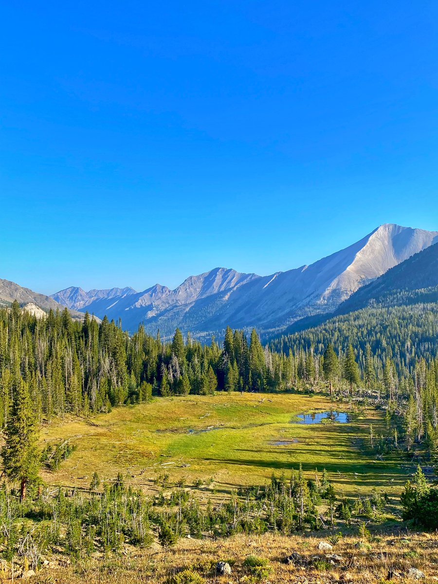 Let’s see a capture from the weekend. 📸