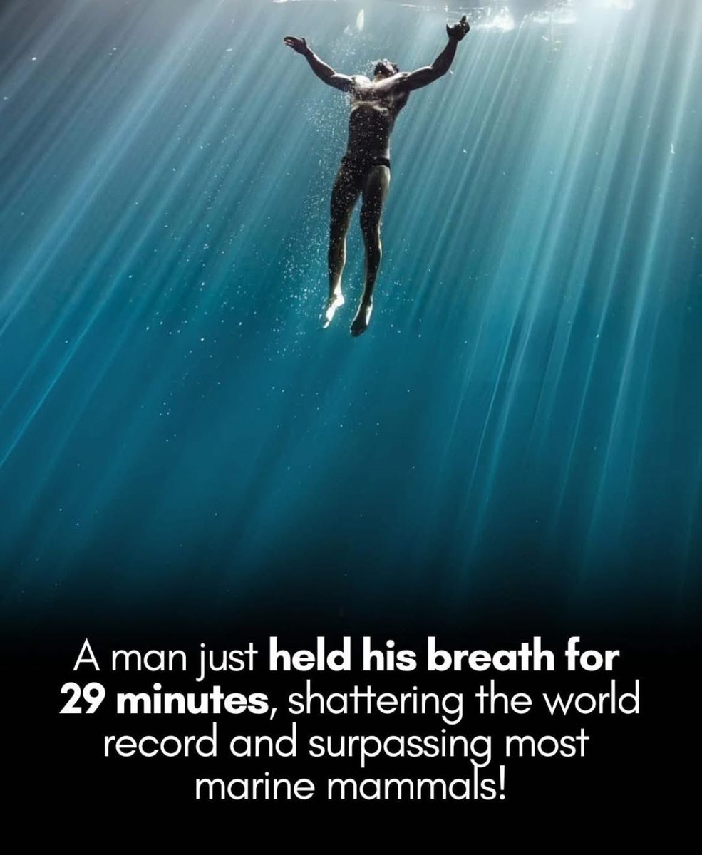 A man has held his breath for 29 minutes, longer than most dolphins and whales can! 

It broke all world records (the average human maxes out between 30 and 90 seconds). 

Croatian freediver Vitomir Maričić has set a new Guinness World Record for the longest voluntary