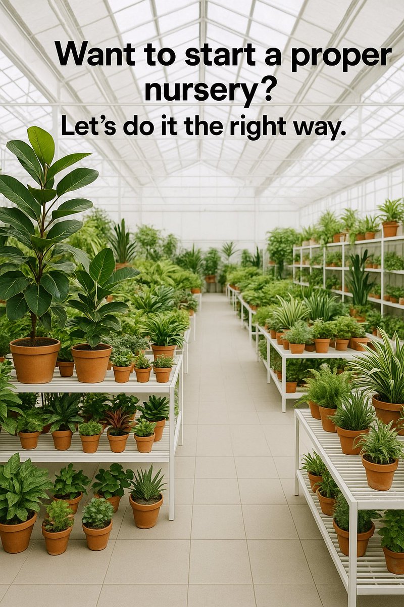clone2u's tweet photo. Want to start a proper #nursery for #clones and #teenplants for #cannabis or #hemp just reach out let’s do it the right way! https://t.co/QP8Y0fHs2g