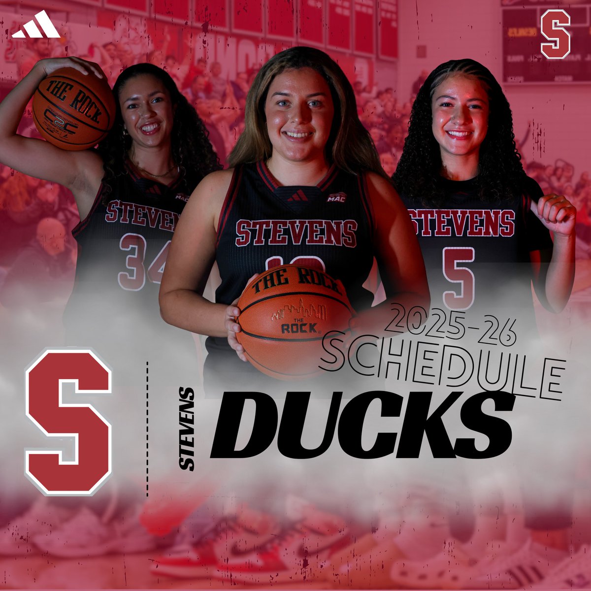 StevensWBBALL tweet media