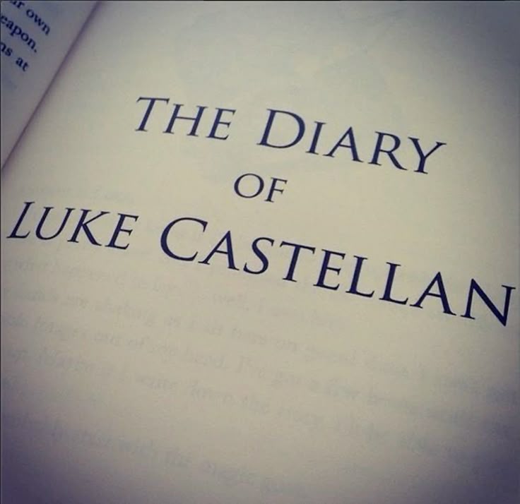 Luke Castellan tweet media