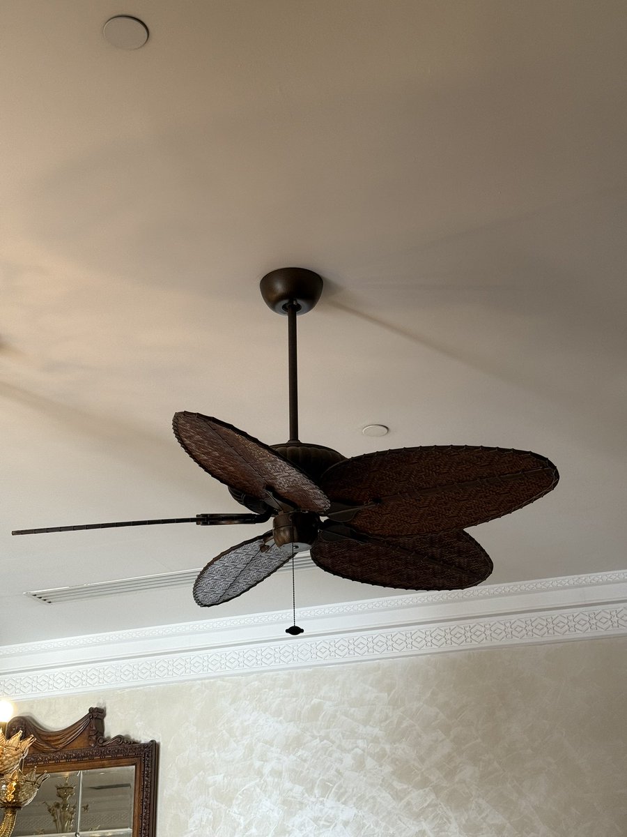 Thom Fang tweet media