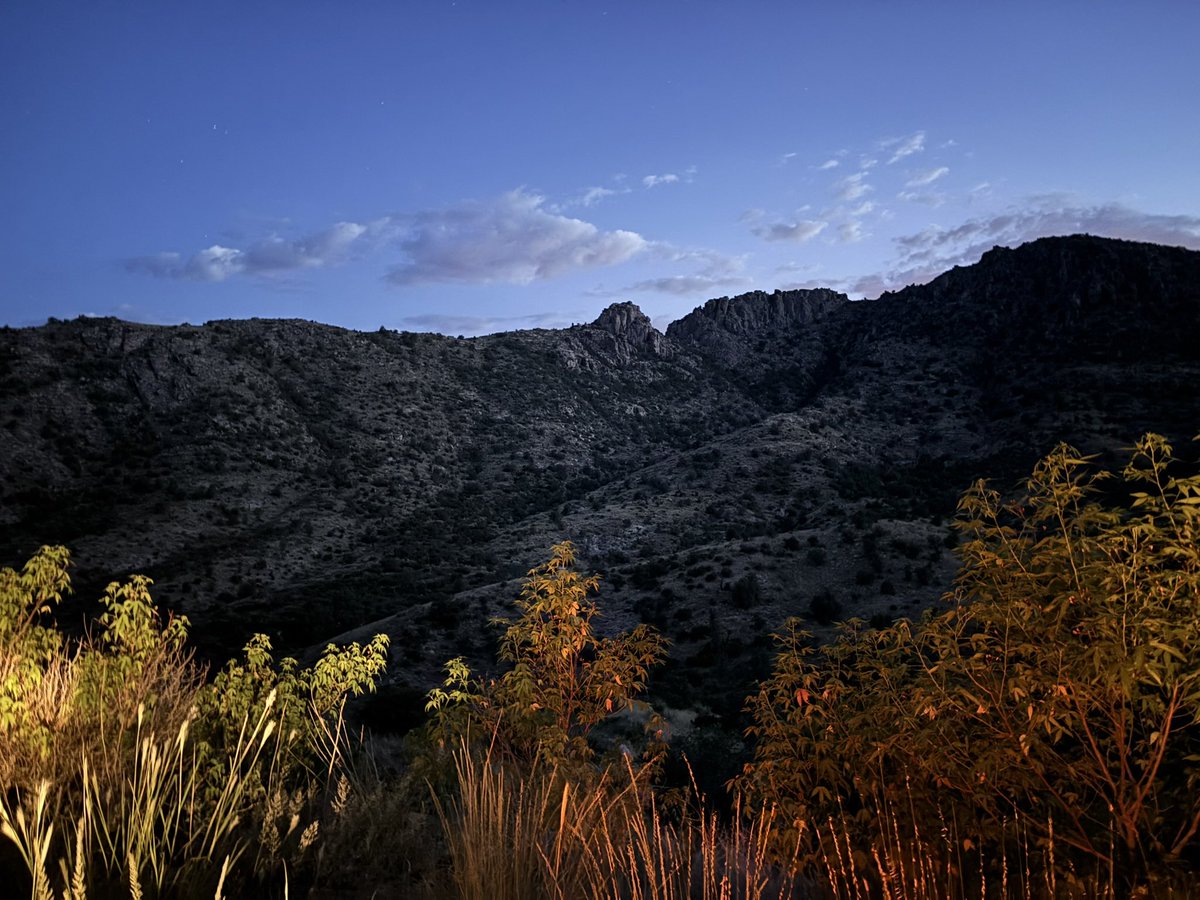 mountain girl (sierra)